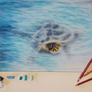 pastello di una tartaruga che emerge dall'acqua solo con la testa a rappresentare il colore azzurro