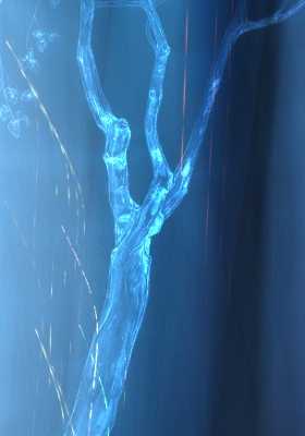 Tronco