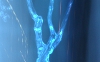 Tronco
