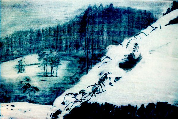 Neve