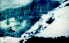 Neve