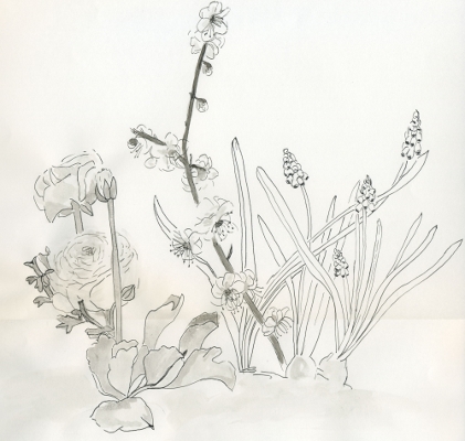 Fiori di primavera