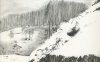 neve