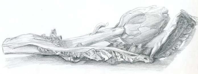 Carciofo