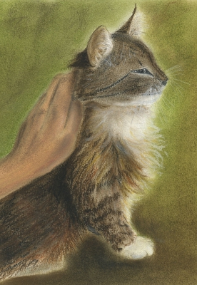 Pope: il gatto superstar