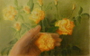 Profumo di rosa