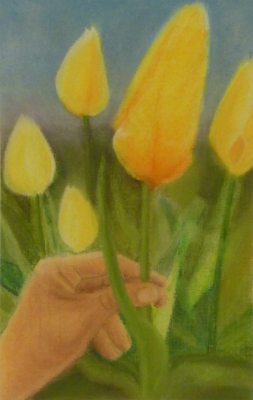 Tulipani
