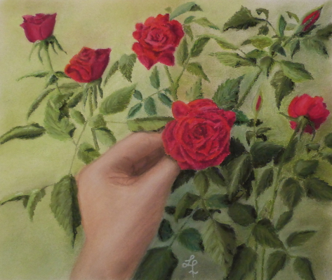 Profumo di rosa