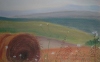 colline toscane