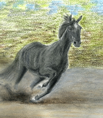 Corsa sulla sabbia - cavallo a pastelli