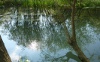 Riflessi sul Sile