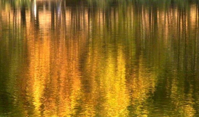 Riflessi Autunnali
