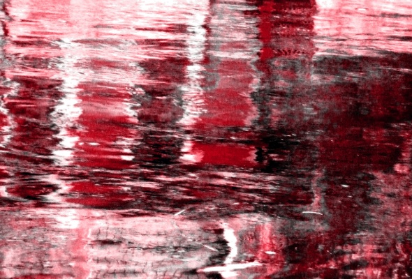 riflessi trevigiani