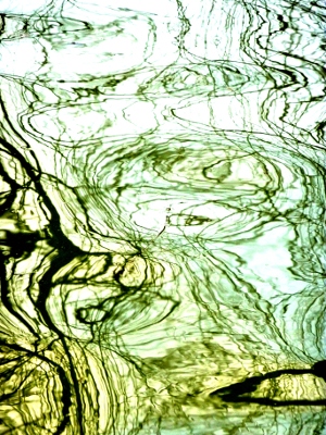 Riflessi nello stagno