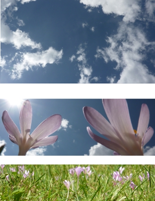 Crocchi al sole: trittico