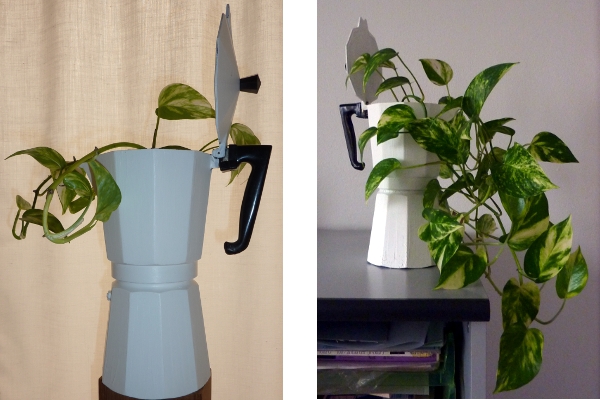 green moka