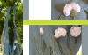  borsa con fiori all'uncinetto e ricamata a mano