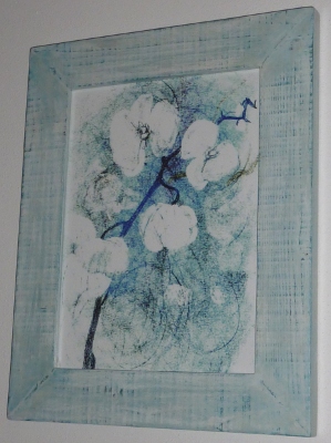 orchidea 