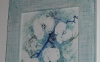  orchidea