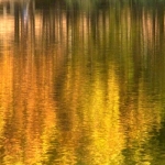 Riflessi Autunnali