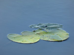 lago di fimon