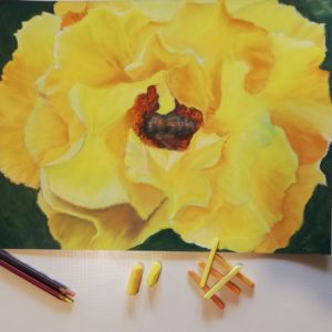 disegno a pastello di una rosa gialla con all'interno un'ape mimetizzata per rappresentare il colore giallo